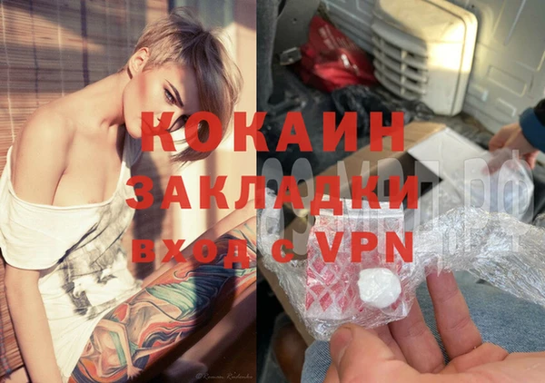 индика Алексин