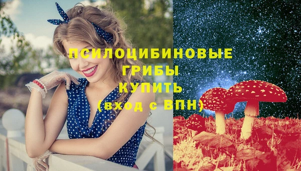 СК Алексеевка