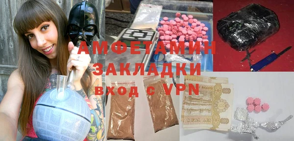 индика Алексин