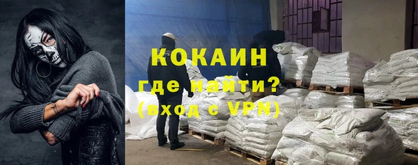 индика Алексин