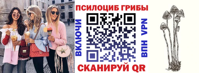 купить закладку  Омутнинск  Псилоцибиновые грибы ЛСД 
